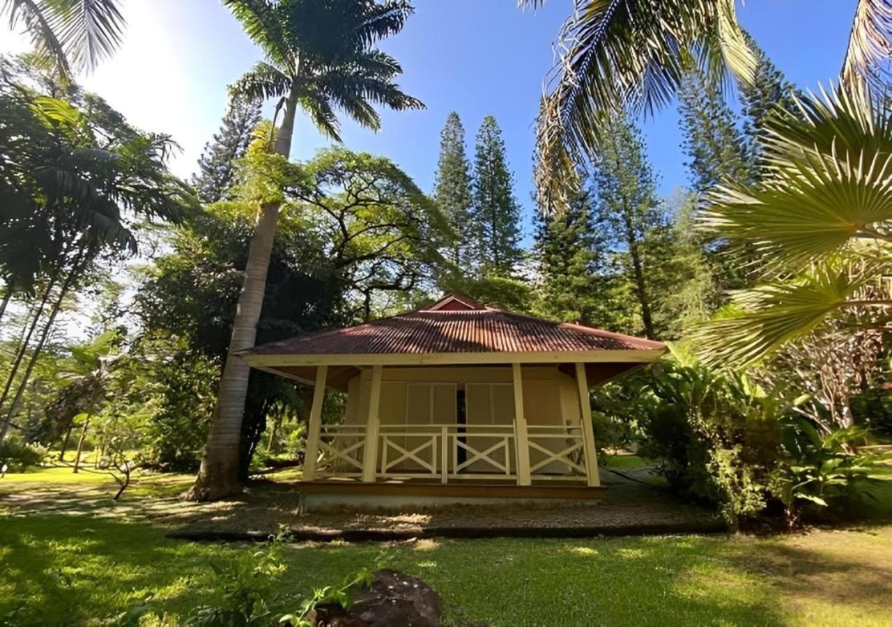 Evasion Bungalow D'Antan Spa Sarraméa Dış mekan fotoğraf