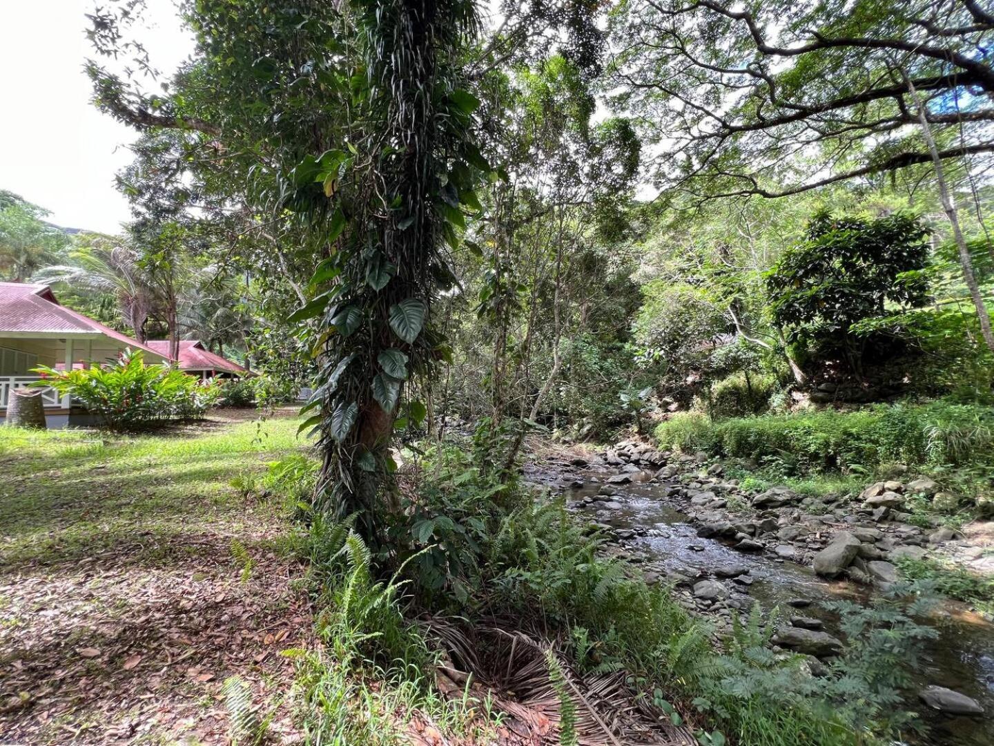Evasion Bungalow D'Antan Spa Sarraméa Dış mekan fotoğraf